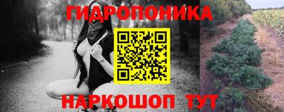 соль ск Будённовск