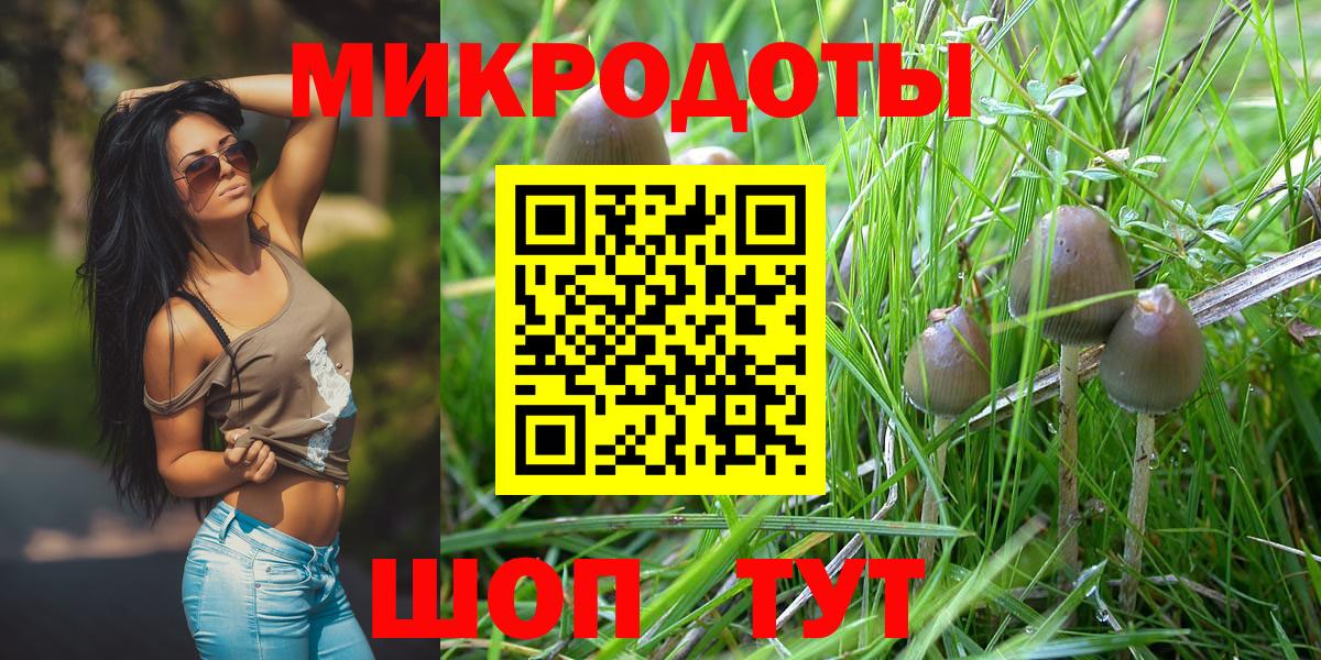Кореновск  Галлюциногенные грибы мицелий  Вход с VPN  где продают наркотики  Галлюциногенные грибы прущие грибы 