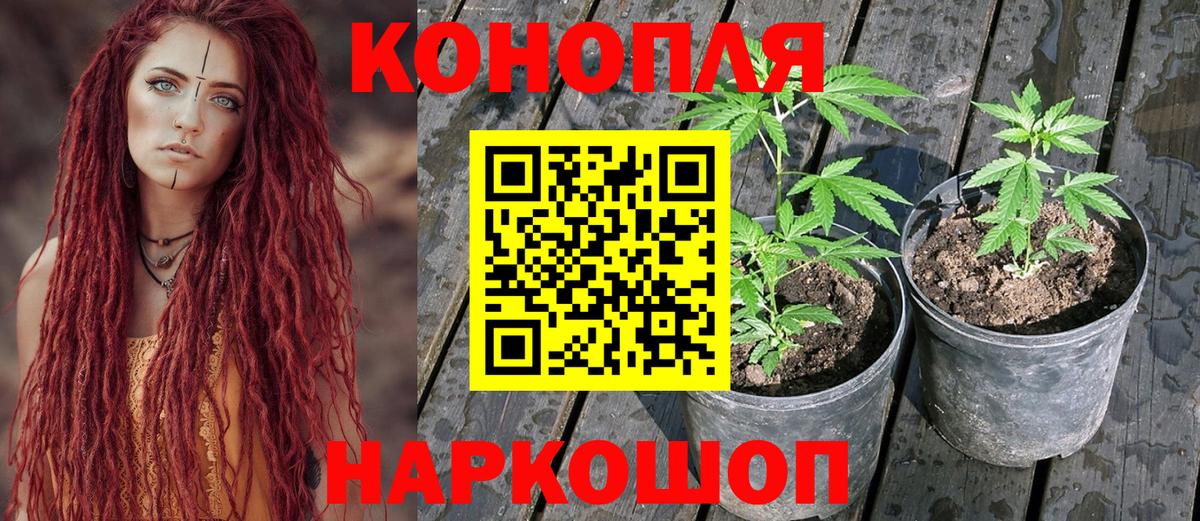 МАРИХУАНА гибрид  Марихуана гибрид  Каннабис конопля  Кореновск  Вход с VPN  МАРИХУАНА Amnesia 